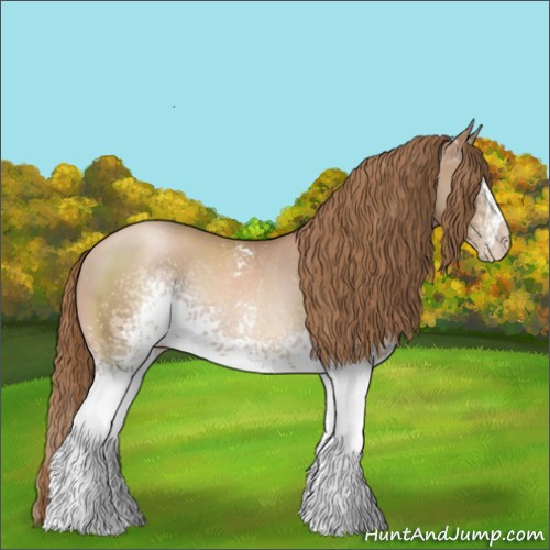 Horse Color:White Spotted Liver Chestnut Pearl Rabicano 
