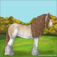 Horse Color:White Spotted Liver Chestnut Pearl Rabicano 