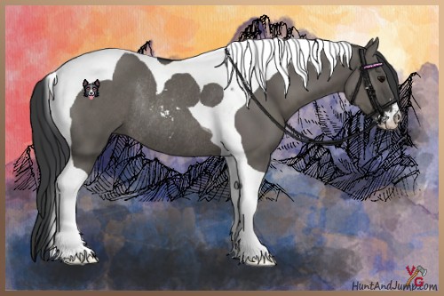 Horse Color:Grullo Sabino Tobiano Rabicano