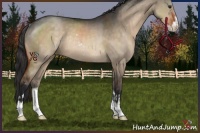 Horse Color:Brown Dun Sabino Varnish Rabicano 