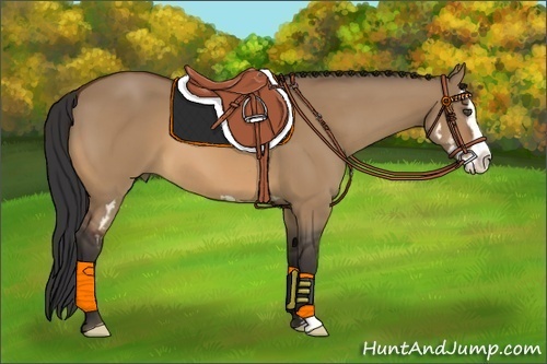 Horse Color:Bay Dun Splash Frame