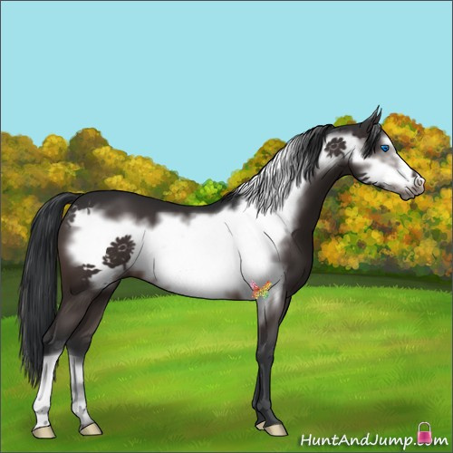 Horse Color:Brown Frame 