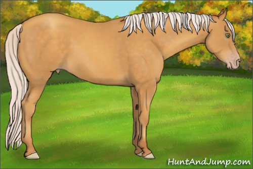 Horse Color:Silver Sable Cream Champagne