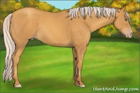 Horse Color:Silver Sable Cream Champagne 