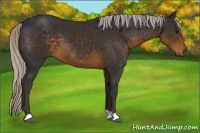 Horse Color:Silver Smoky Black 