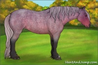 Horse Color:Silver Buckskin Roan 