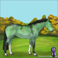 Horse Color:Gray Platinum Bay Dun Brindle 