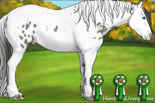 Horse Color:Grullo Splash Tobiano Near Leopard