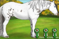 Horse Color:Grullo Splash Tobiano Appaloosa