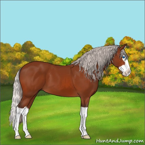 Horse Color:Silver Brown Splash
