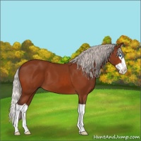 Horse Color:Silver Brown Splash 