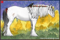 Horse Color:White Spotted Bay Splash Tobiano