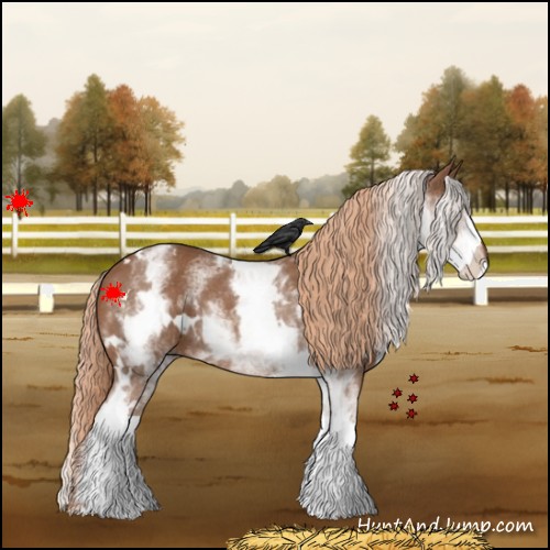 Horse Color:White Spotted Chestnut Rabicano 