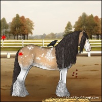 Horse Color:White Spotted Buckskin Dun 