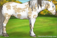 Horse Color:White Spotted Buckskin Splash