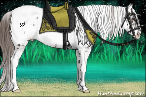 Horse Color:Liver Chestnut Sabino Blanket Rabicano 