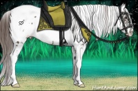 Horse Color:Liver Chestnut Sabino Blanket Rabicano 