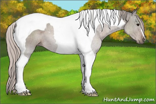 Horse Color:Silver Black Tobiano 