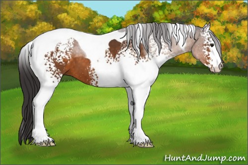 Horse Color:White Spotted Buckskin Tobiano 