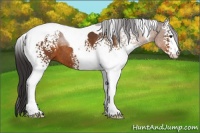 Horse Color:White Spotted Buckskin Tobiano