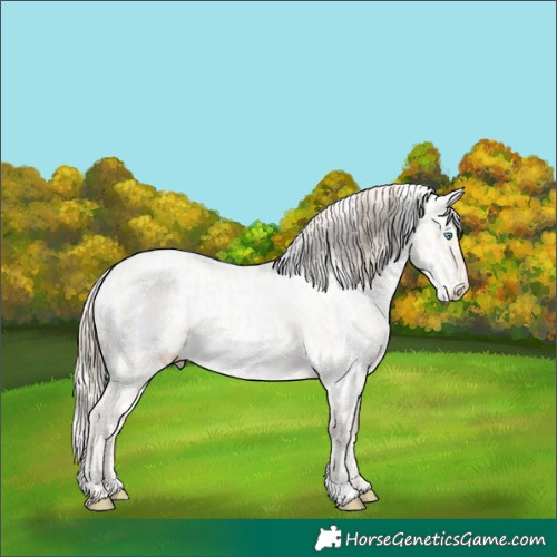 Horse Color:Smoky Creme Roan Dun  and Silver Classic Cream Champagne Roan Dun Near Leopard 