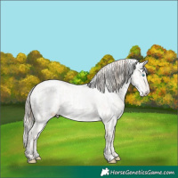 Horse Color:Smoky Creme Roan Dun  and Silver Classic Cream Champagne Roan Dun Near Leopard 