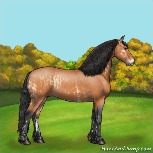 Horse Color:Bay Onyx Rabicano  and Bay Rabicano 