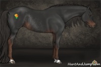 Horse Color:Liver Chestnut Rabicano 