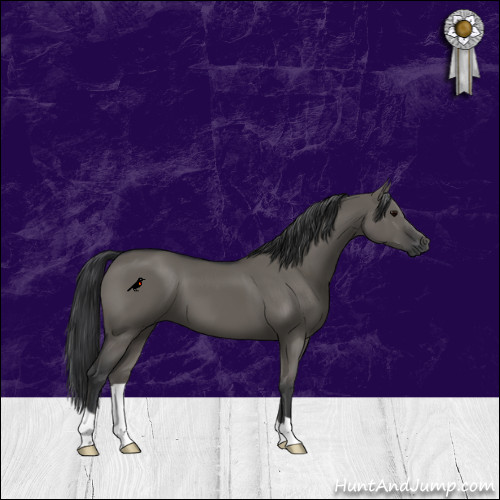 Horse Color:Grullo 