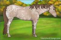 Horse Color:Black Ice Pearl 