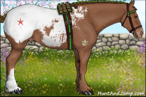Horse Color:Chestnut Appaloosa 