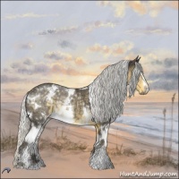 Horse Color:White Spotted Silver Smoky Black Chinchilla Rabicano 