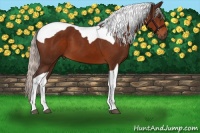 Horse Color:Silver Brown Tobiano 