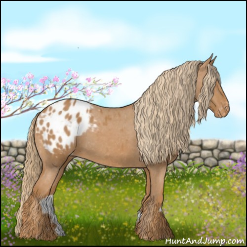 Horse Color:Chestnut Blanket 