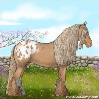 Horse Color:Chestnut Blanket 