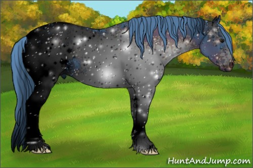 Horse Color:ERROR: UNKNOWN ANOMALY