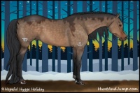 Horse Color:Brown Dun 