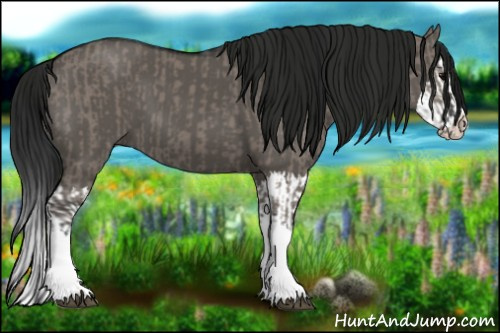 Horse Color:Grullo Sabino Splash  and Gray Grullo Sabino Splash 