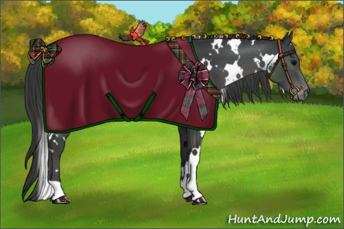 Horse Color:White Spotted Black Appaloosa 