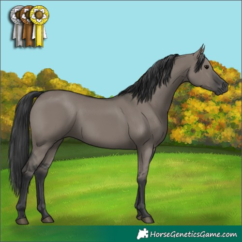 Horse Color:Grullo 