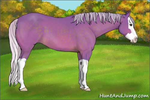 Horse Color:Watercolor Silver Brown Splash 