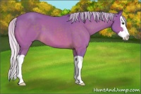 Horse Color:Watercolor Silver Brown Splash