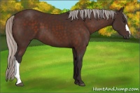 Horse Color:Silver Brown 