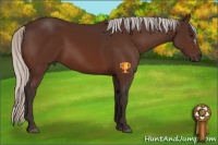 Horse Color:Silver Brown 