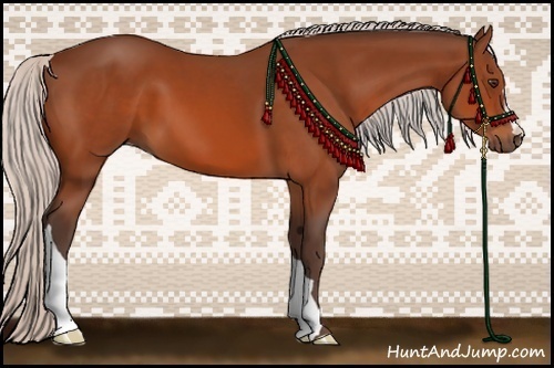 Horse Color:Silver Brown