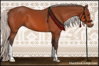 Horse Color:Silver Brown 