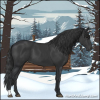 Horse Color:Black 