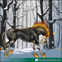 Horse Color:Black Sabino