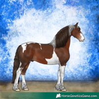 Horse Color:Liver Chestnut Sabino Tobiano