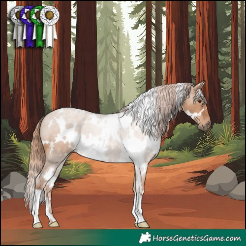 Horse Color:White Spotted Red Dun 